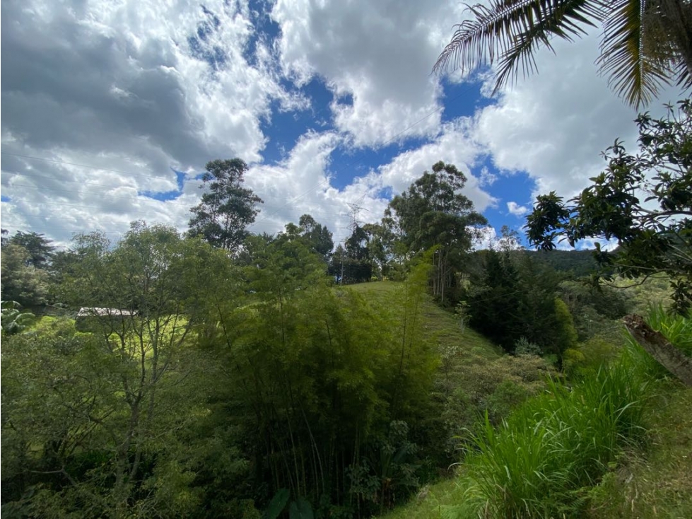 Casa campestre en venta en Parcelación cerrada , La Ceja — foto 6