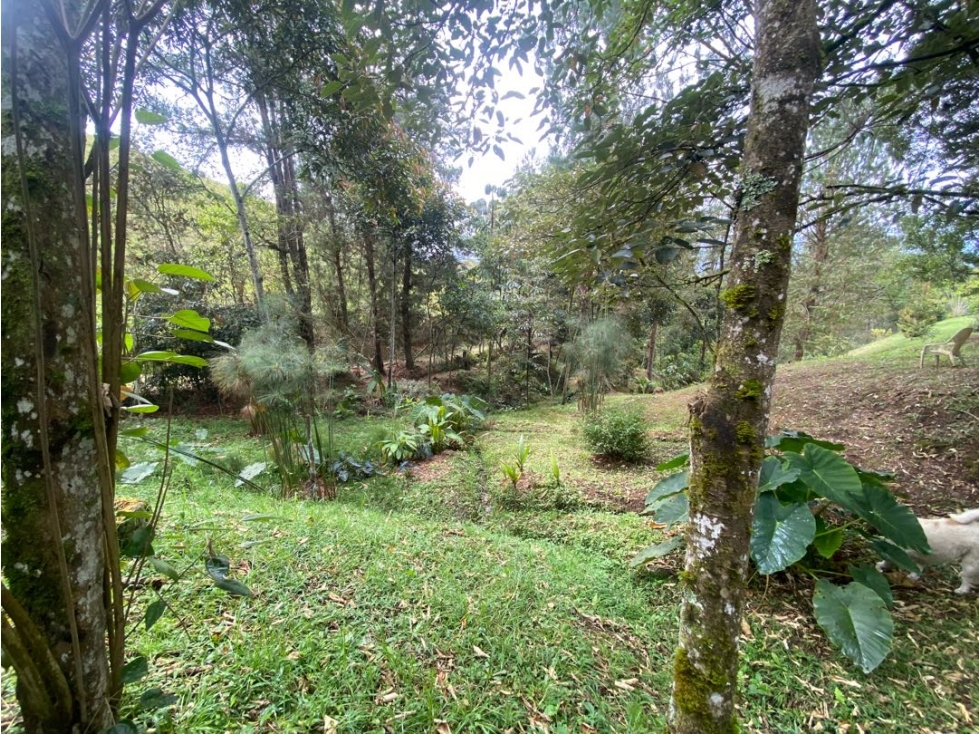 Casa Campestre en venta en Parcelacion via La Ceja-Rionegro — foto 6