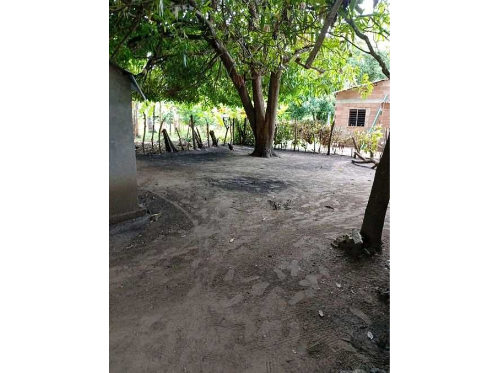 Casa Campestre en venta en Paso nuevo, San bernardo del viento - 2