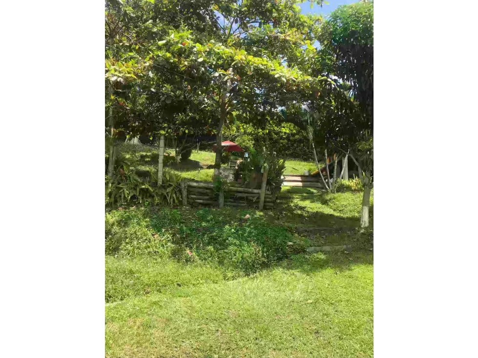 Casa campestre en venta km 47 Vía autopista Medellín - 4