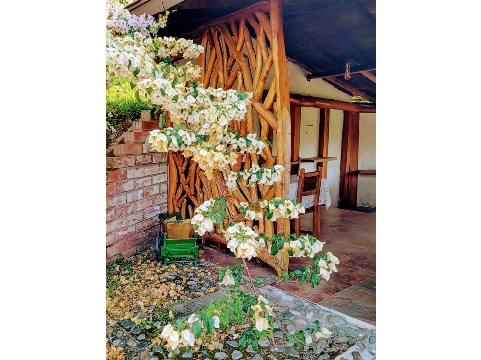 Casa campestre en venta La Manuela Manizales — foto 2