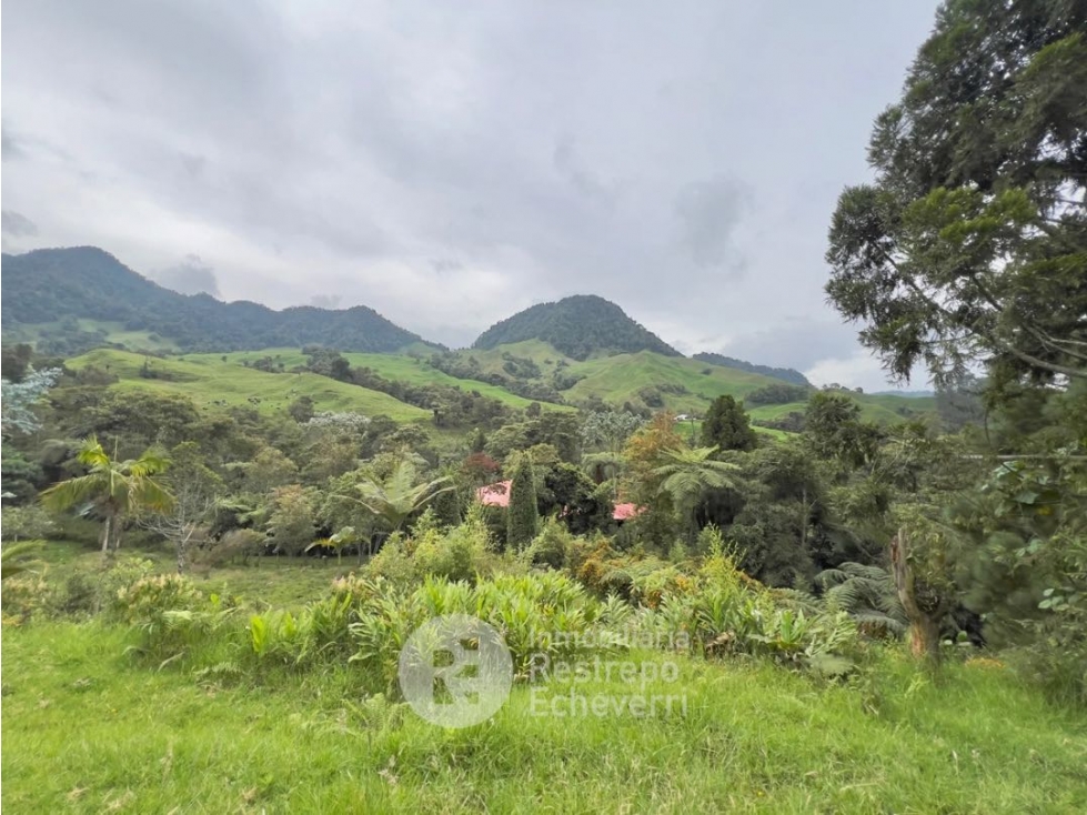 Casa campestre en venta, Montaño, Villamaría — foto 3