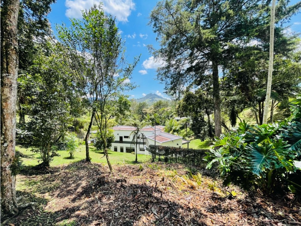 Casa en venta o alquiler vía san Antonio, la ceja. — foto 2