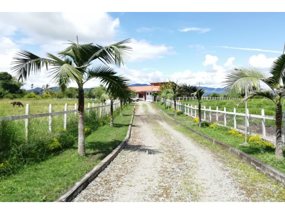 FINCA EN VENTA PUEBLO TAPAO ARMENIA QUINDÍO — foto 2