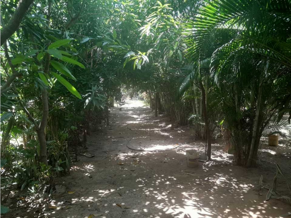 Hermosa y amplia cabaña con piscina,1hc 400mts, bonda-el curval — foto 5