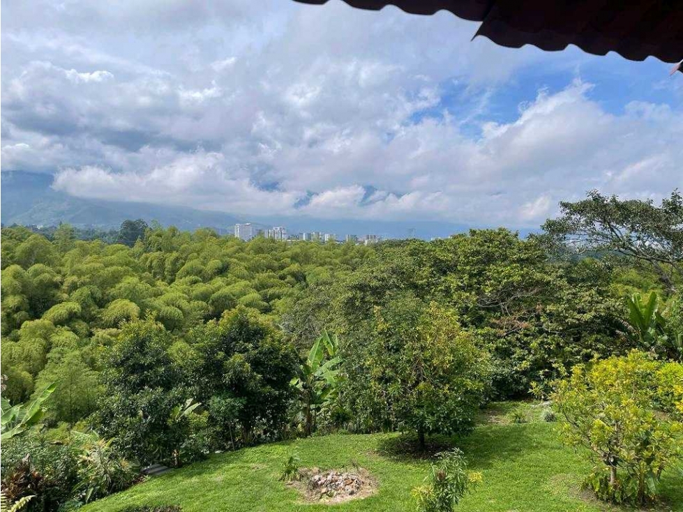 CASA CAMPESTRE TIPO FINCA EN CIRCASIA — foto 4