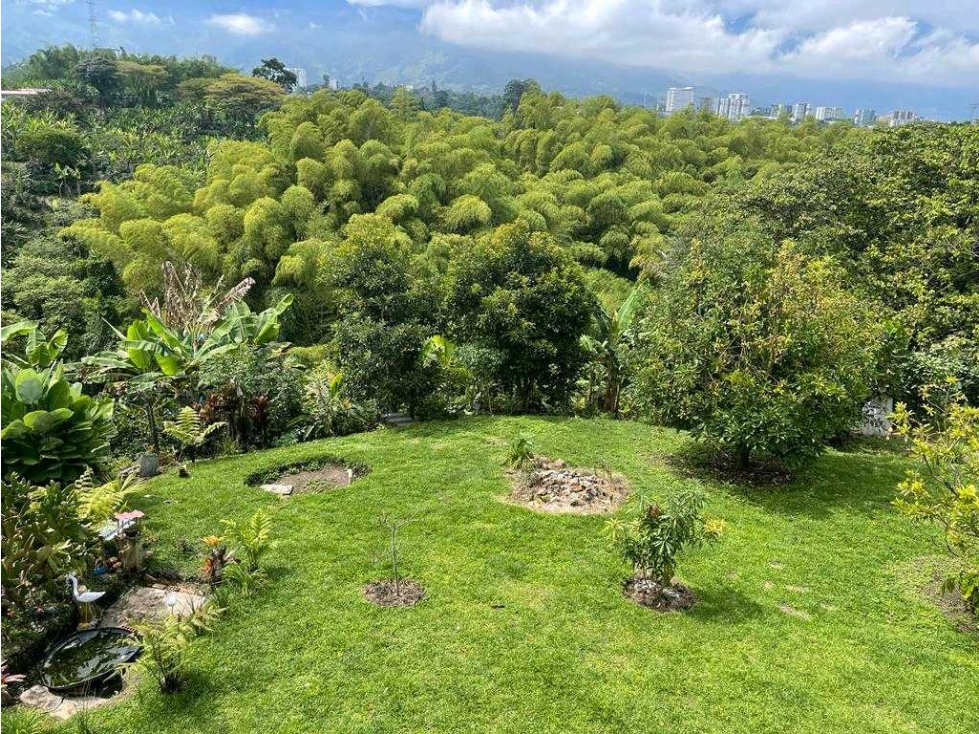CASA CAMPESTRE TIPO FINCA EN CIRCASIA — foto 5