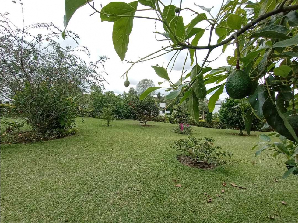 CASA CAMPESTRE VENTA VIA CIRCASIA EXCLUSIVO CONDOMINIO — foto 6