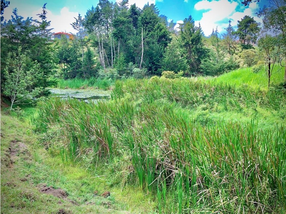 Venta Finca Parcelar Urbanizar Productiva Rionegro — foto 2