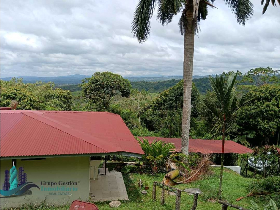 SE VENDE CASA CON HERMOSAS VISTAS Y AMBIENTE FRESCO. - 3