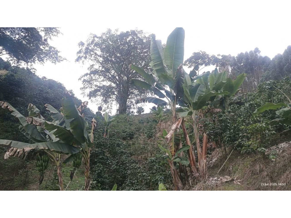 ¡Finca Amoblada en Venta con Potencial Turístico y Productivo! - 4
