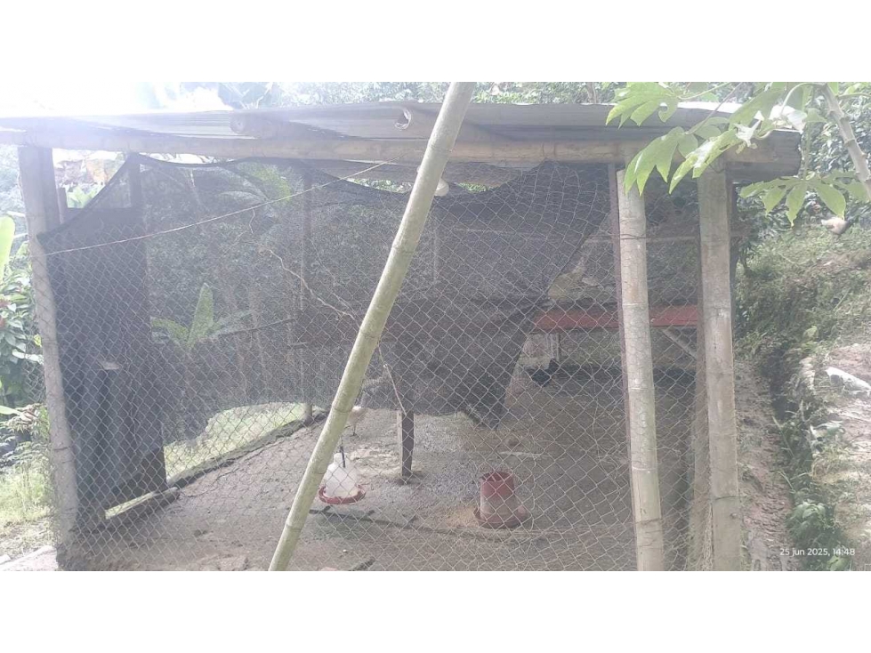 ¡Finca Amoblada en Venta con Potencial Turístico y Productivo! - 5