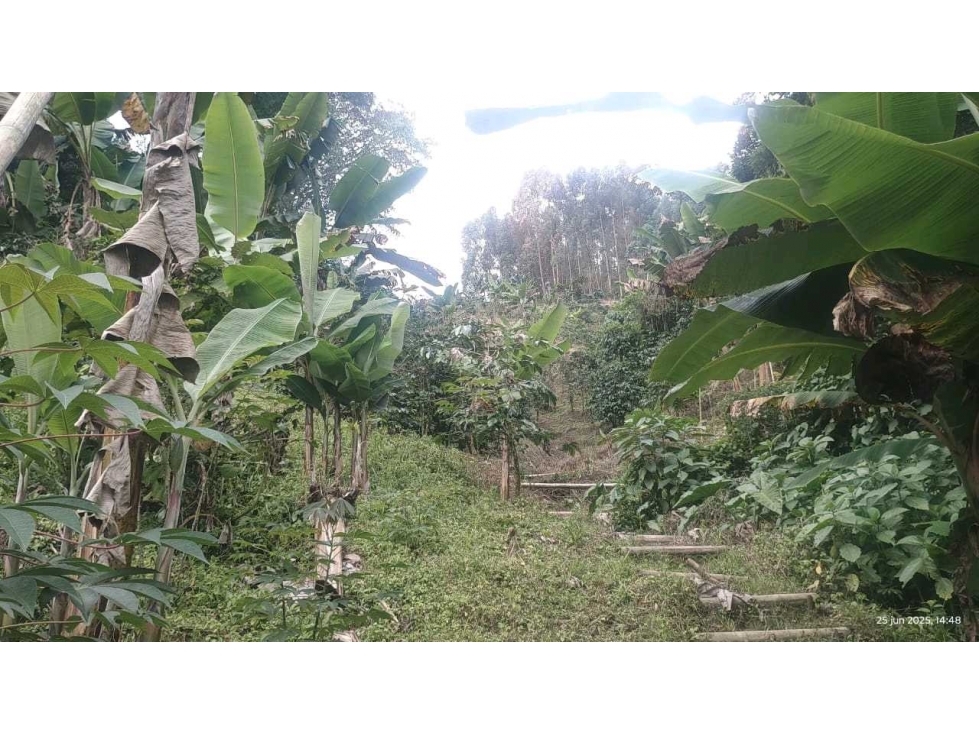 ¡Finca Amoblada en Venta con Potencial Turístico y Productivo! - 6