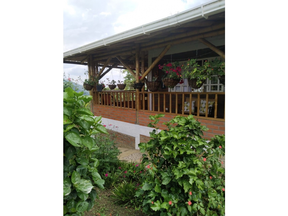 Casa de campo en venta / permuta - Santa Rosa de Tapias Guacarí Valle - 2