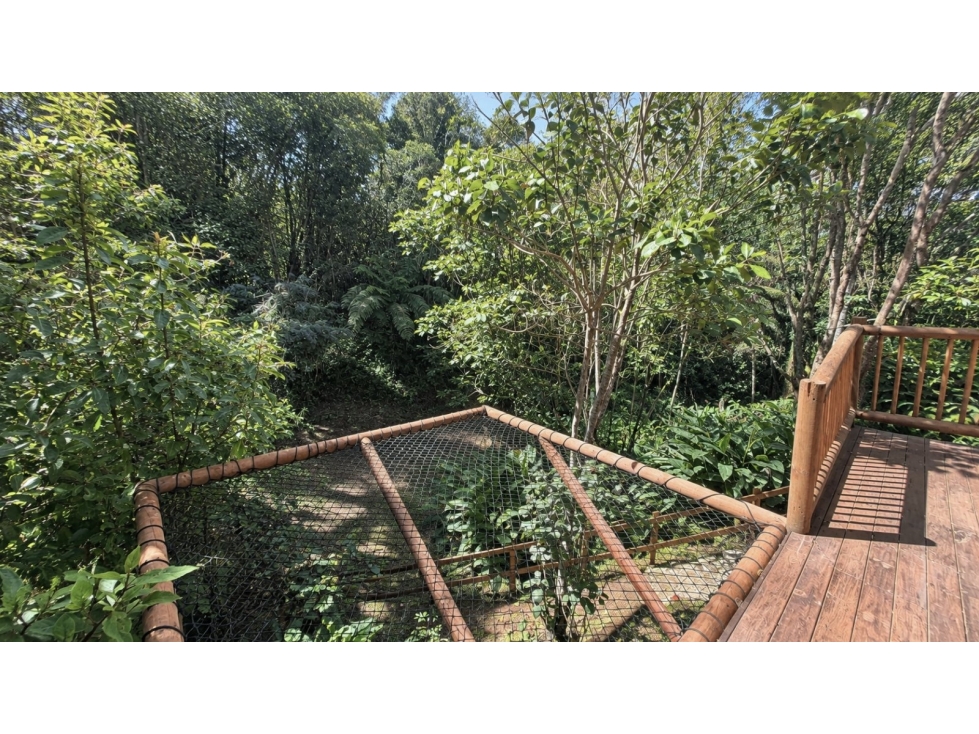 Finca campestre independiente en Arriendo Alto de Las Palmas — foto 6