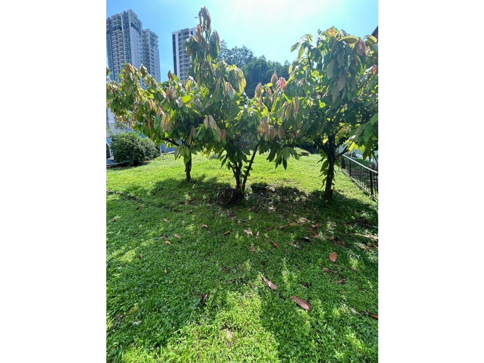 Casa en Hato Pintado para remodelar - 3