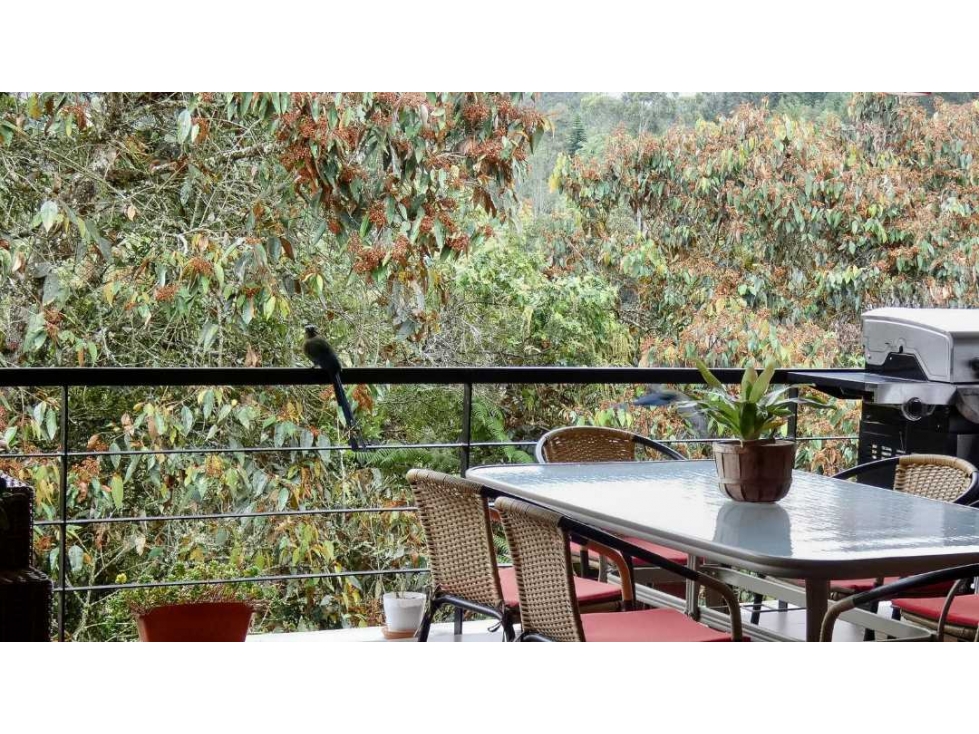 Casa de un nivel en parcelación con bosque nativo en el Retiro — foto 3