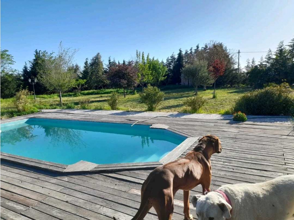 CASA EN VENTA DE CATEGORIA PUERTO MADRYN CHUBUT - 2