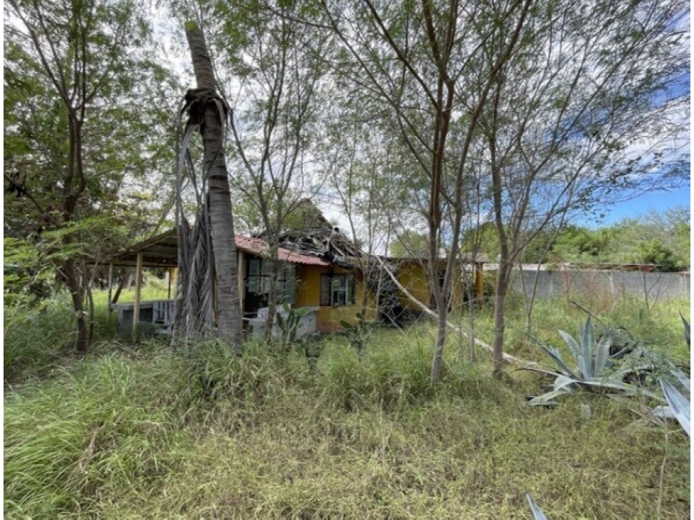 Casa en Venta en Centro, Abasolo - Gran Terreno de 695 m² - 2