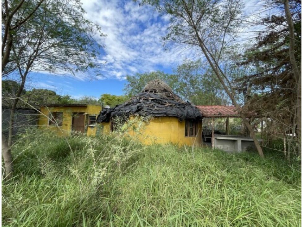 Casa en Venta en Centro, Abasolo - Gran Terreno de 695 m² - 3