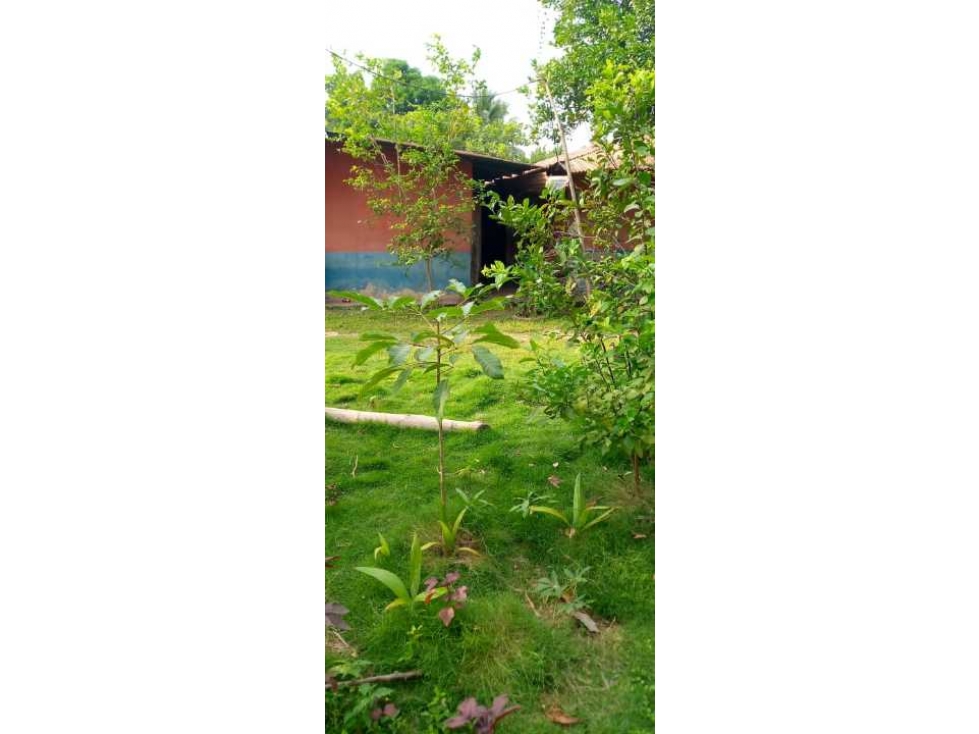 CASA FINCA EN VENTA EN EL BARRIO ALFONSO LÓPEZ