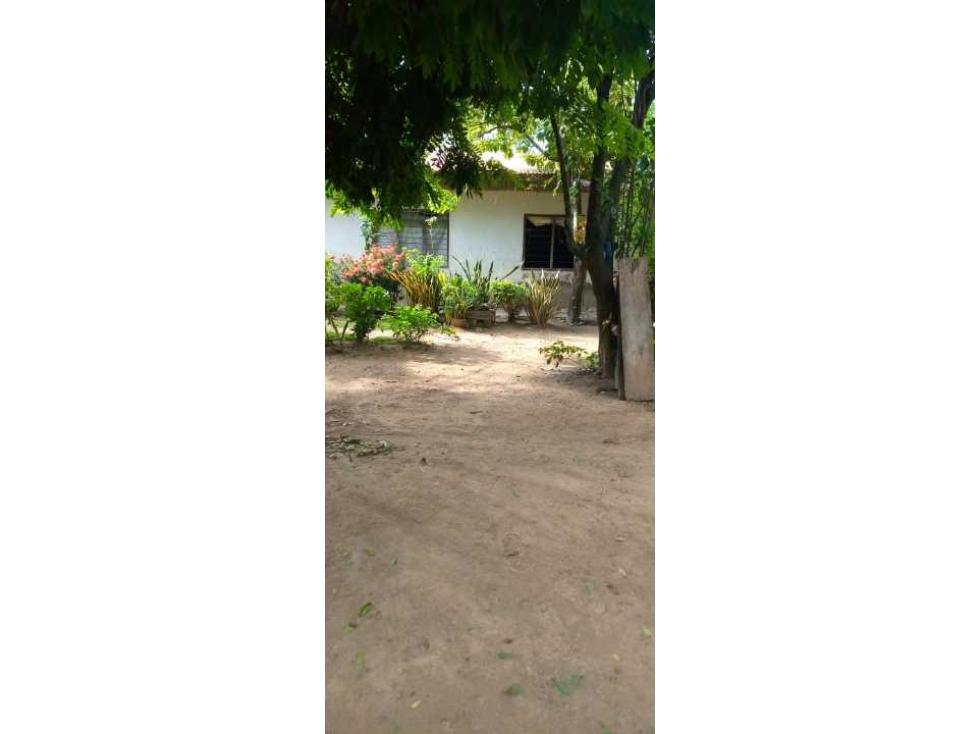 CASA FINCA EN VENTA EN EL BARRIO ALFONSO LÓPEZ — foto 3