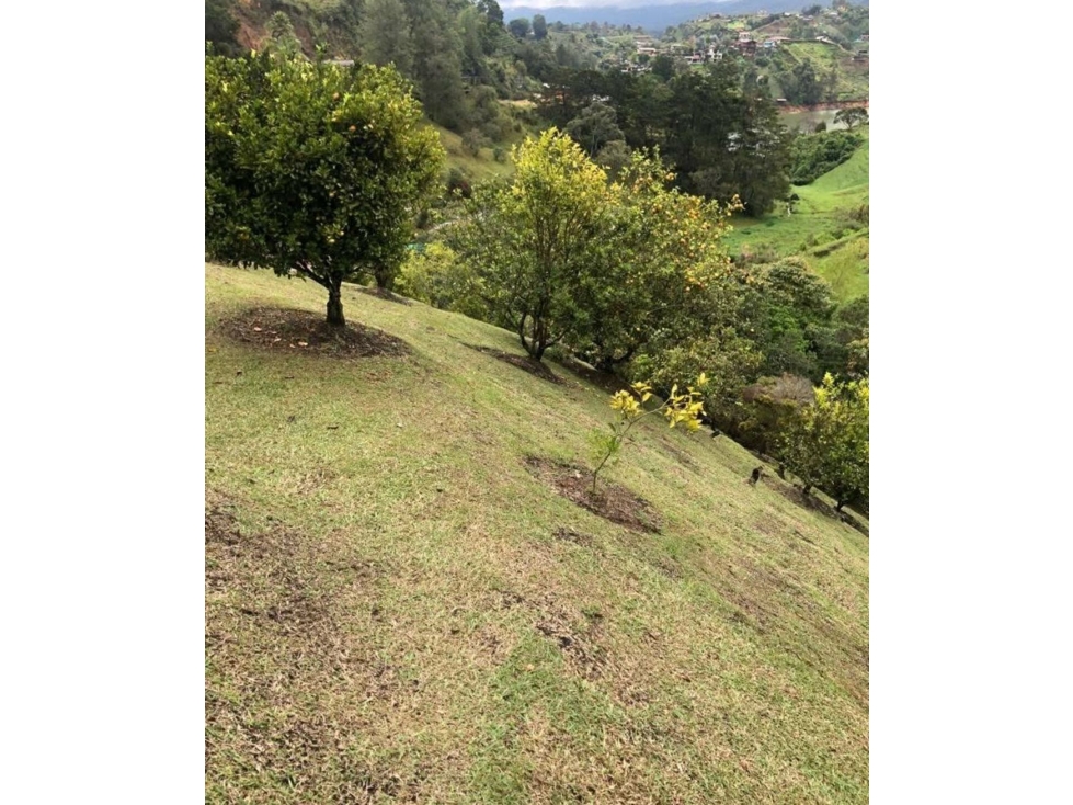 Casa en Venta en El Peñol — foto 6