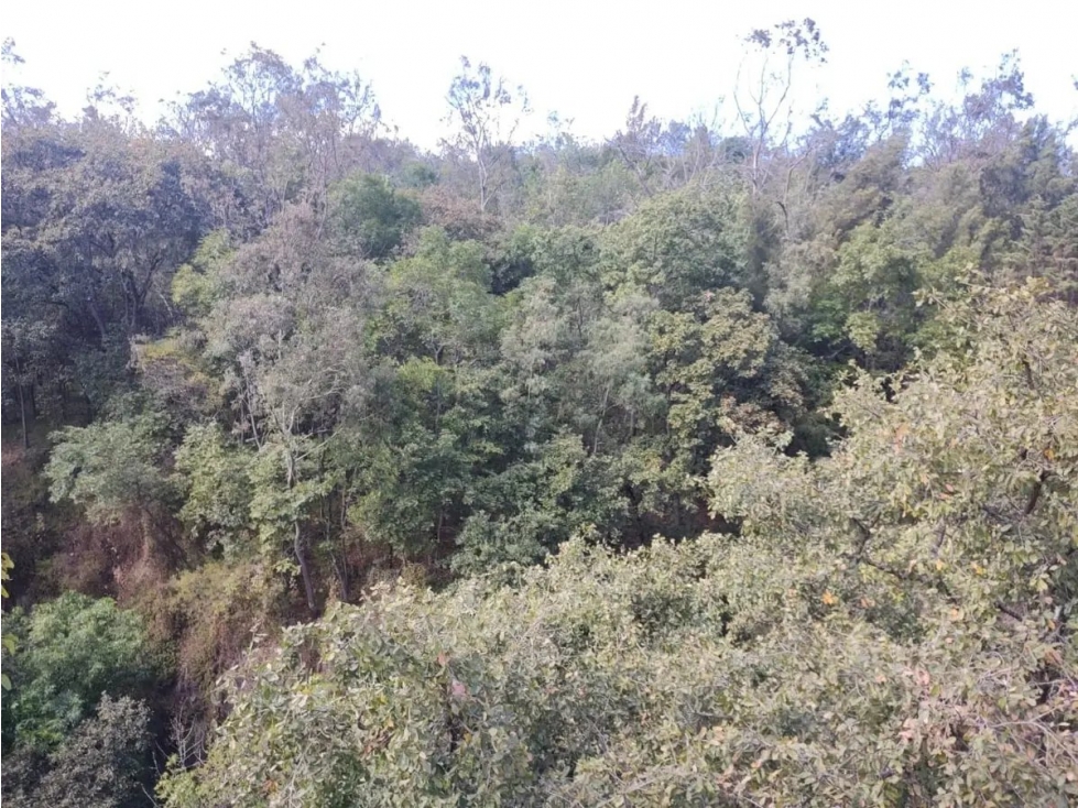Casa en Venta en San Jeronimo Lidice, La Magdalena Contreras - 4