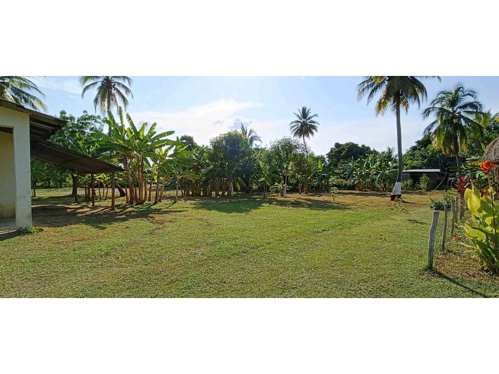 CASA FINCA EN VENTA A ORILLA DEL RIO EN LOS GOMEZ - COTORRA - 6