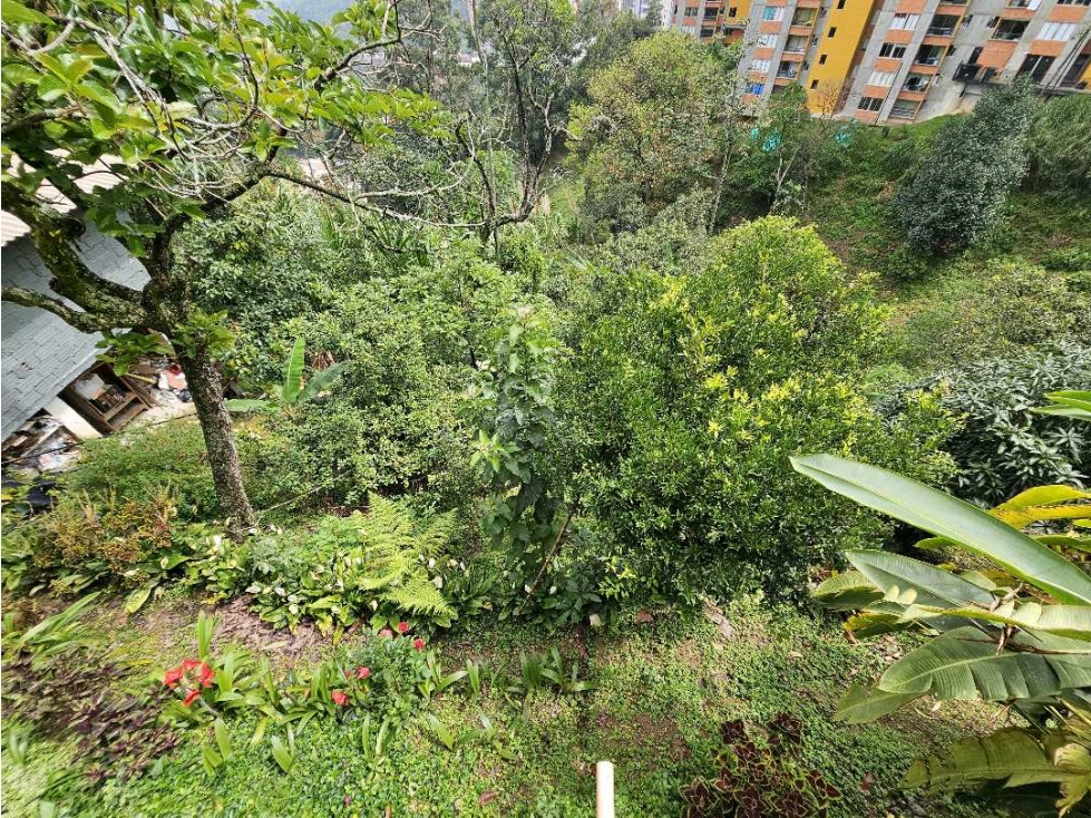 Casa en Venta en Envigado, Palmeras | Lote con Potencial Comercial — foto 6