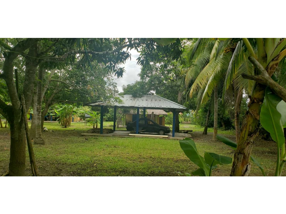 Casa finca en venta en Cerete - 1