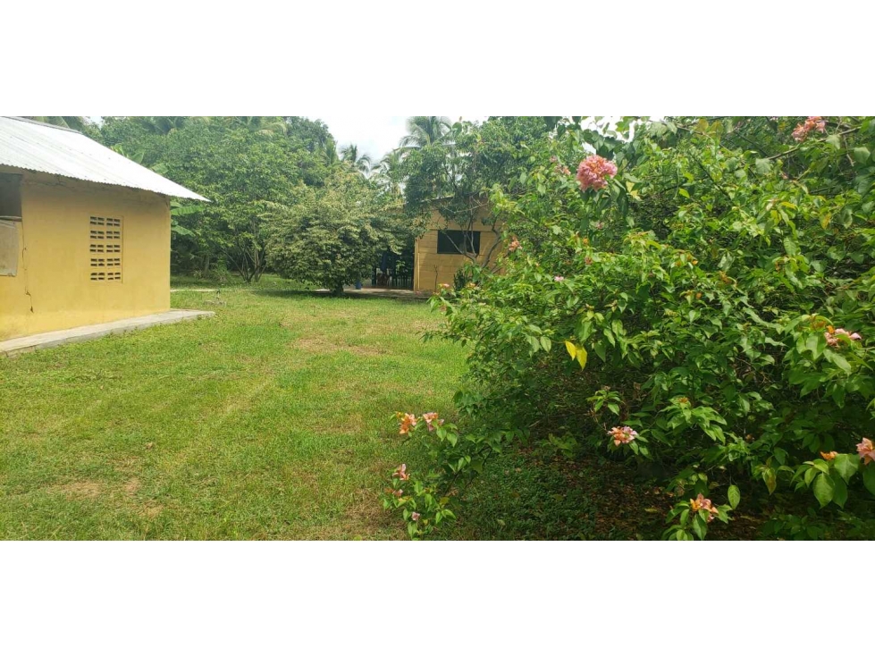 Casa finca en venta en Cerete - 3