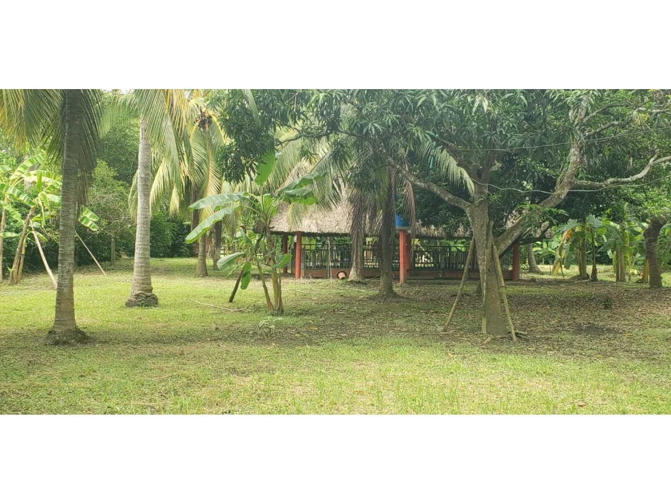 Casa finca en venta en Cerete - 4