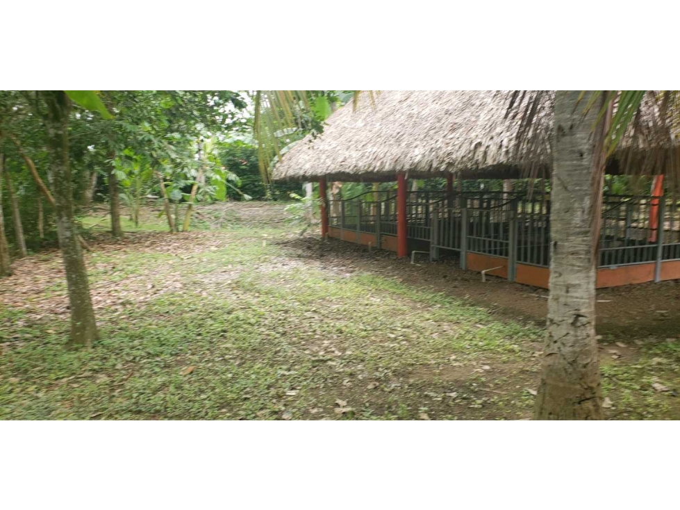 Casa finca en venta en Cerete - 6