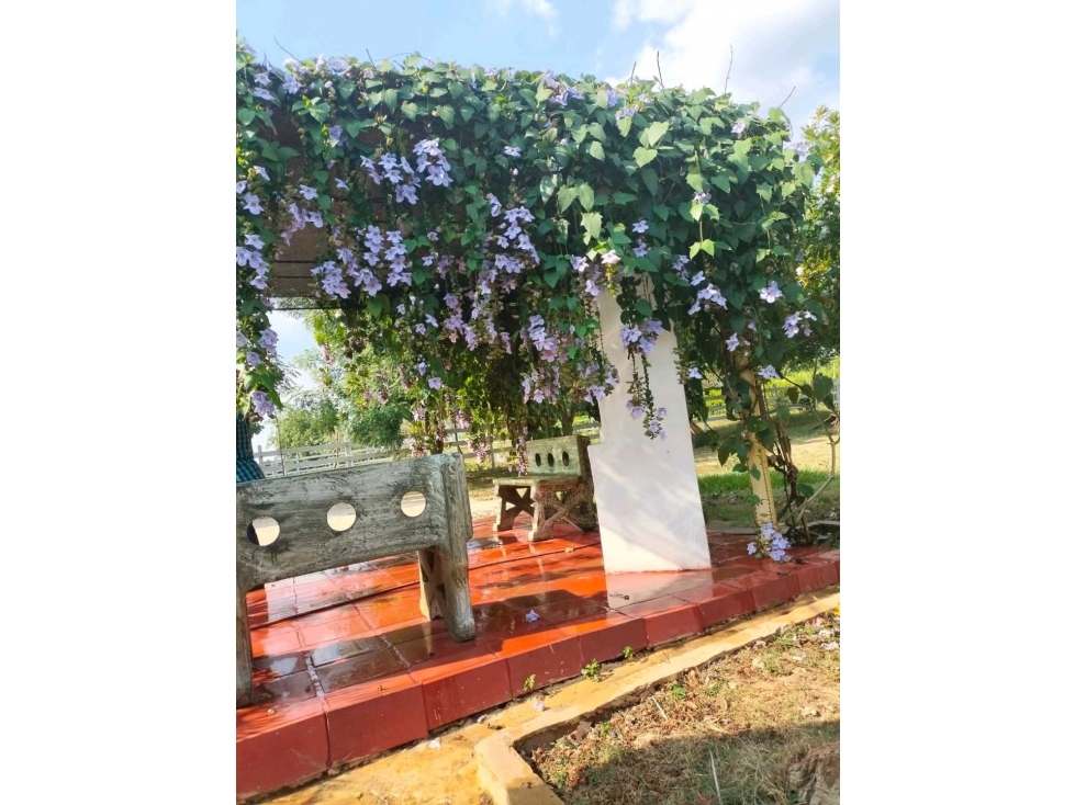 CASA FINCA EN VENTA EN CIÉNAGA DE OR - 2