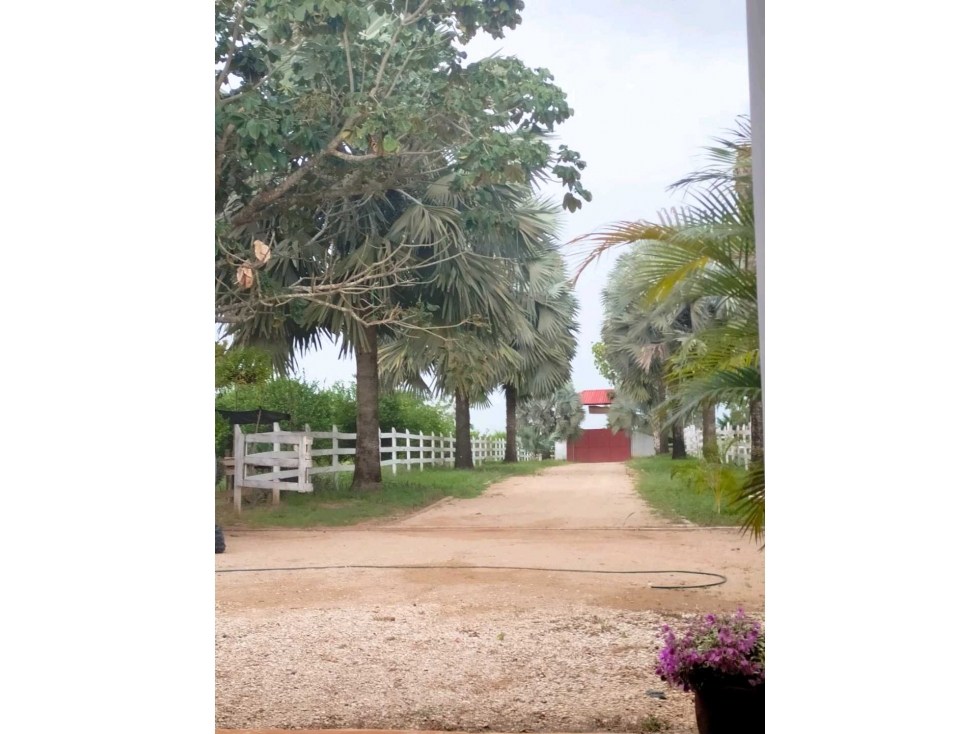 CASA FINCA EN VENTA EN CIÉNAGA DE OR - 4