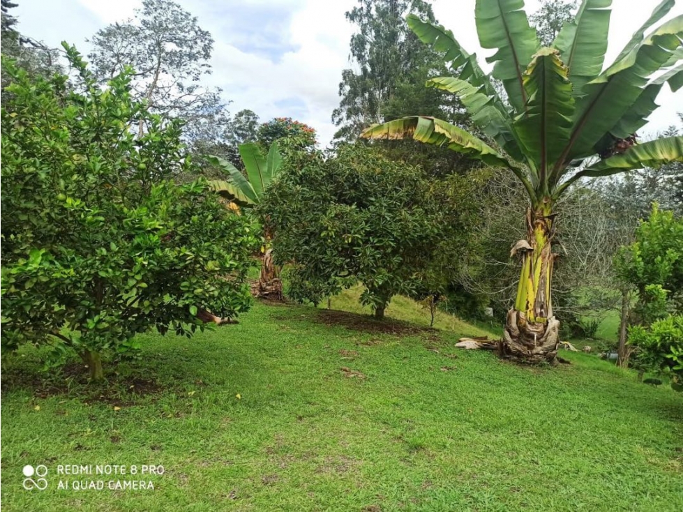 Casa Finca Lote El Tablazo Rionegro Antioquia — foto 4
