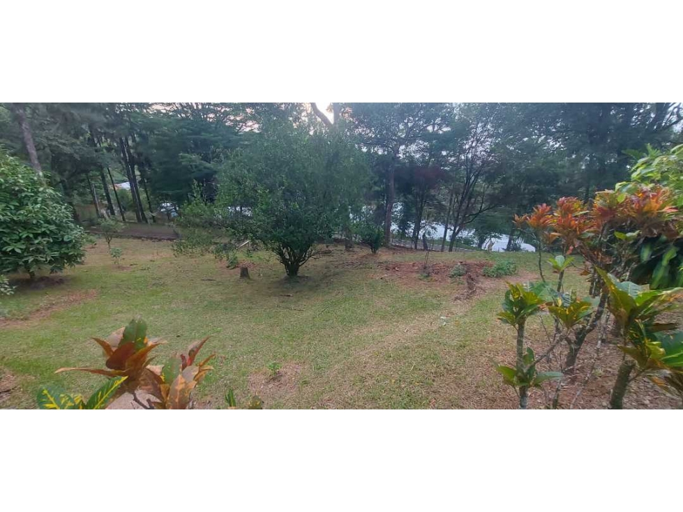 CASA GRANDE TIPO CABAÑA EN CERRO AZUL — foto 4