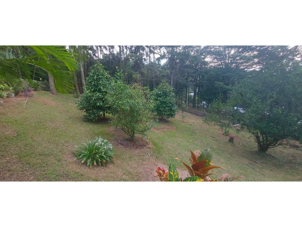 CASA GRANDE TIPO CABAÑA EN CERRO AZUL — foto 5