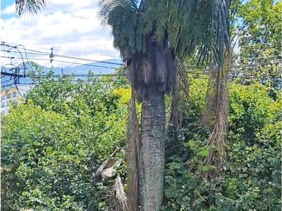 CASA INDEPENDIENTE PARA LA VENTA GUAYABAL SECTOR SAN PABLO — foto 4