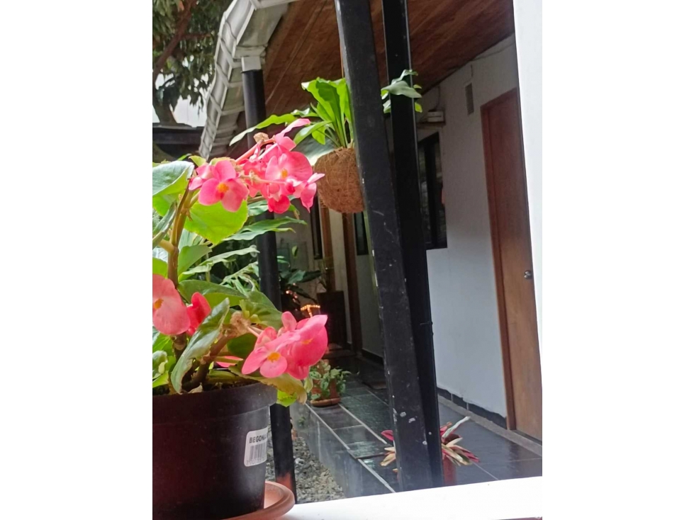 CASA LOCAL, PARA RENTA EN SAN JOAQUIN — foto 6