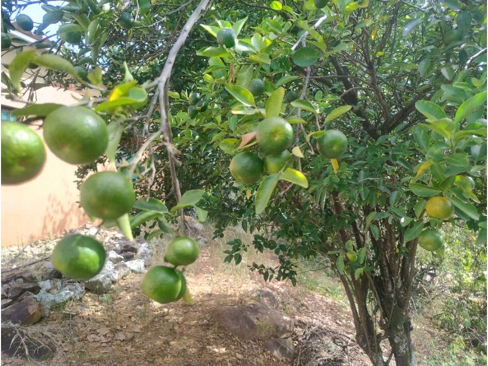 Casa Lote Económico En Venta antes de llegar a San Joaquín-La Mesa Cun — foto 6