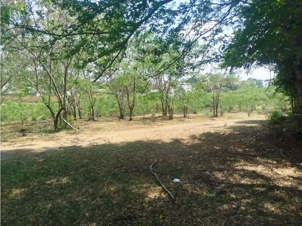 CASA LOTE en Gestion - Cali, Valle Del Cauca