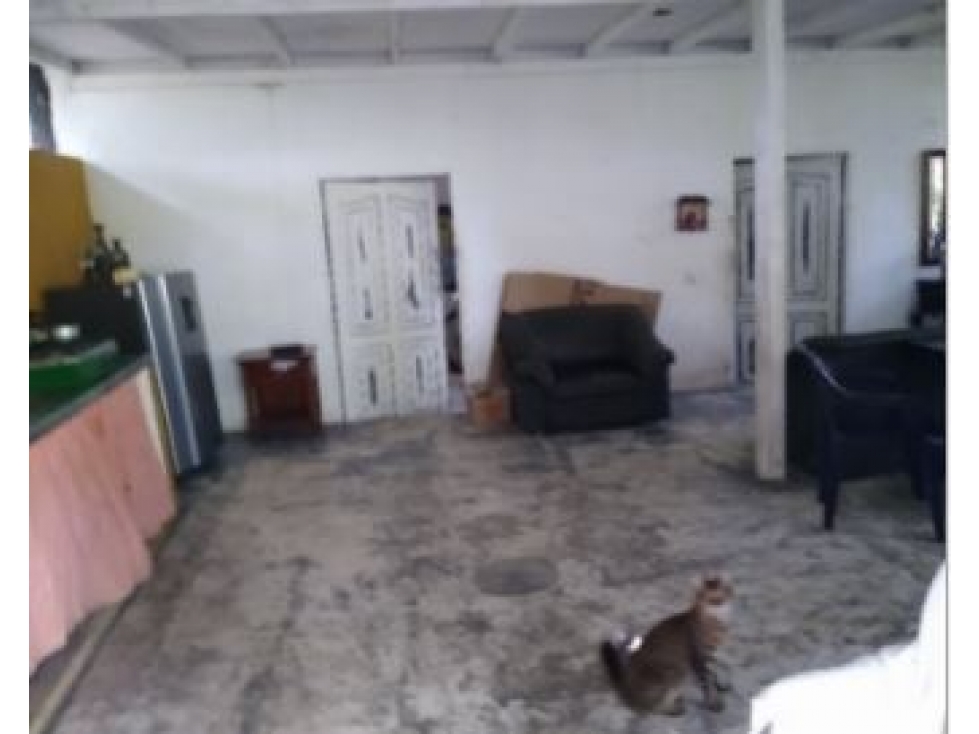 CASA LOTE en Gestion - CAUCASIA, ANTIOQUIA