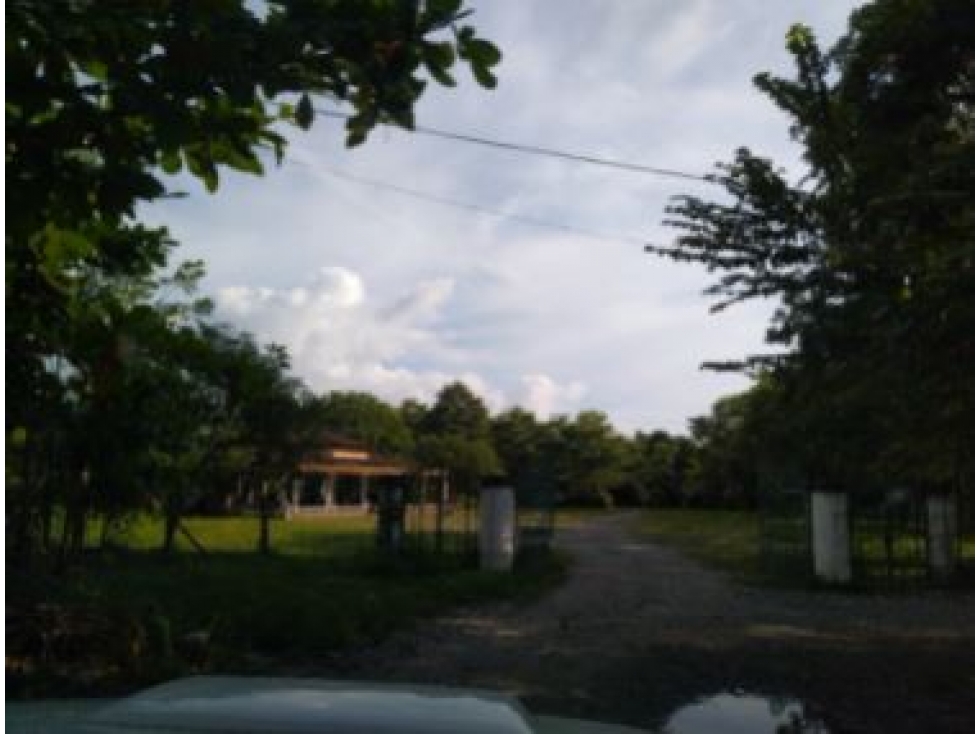 CASA LOTE en Gestion - CAUCASIA, ANTIOQUIA — foto 2
