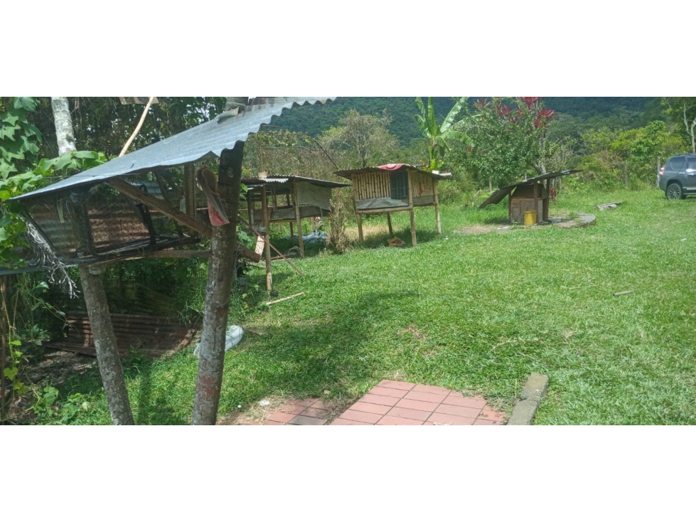 CASA LOTE en Gestion - Muzo, Boyaca