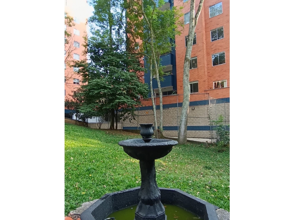 Casa lote en renta poblado — foto 3