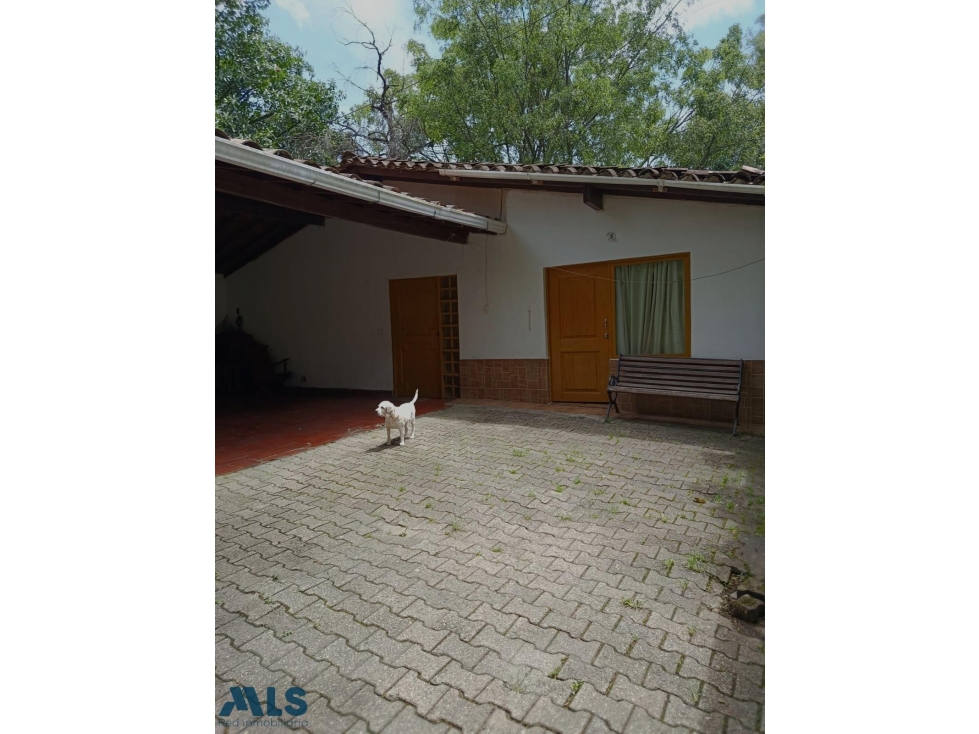Casa Lote en San Lucas Poblado(MLS#261713) — foto 4