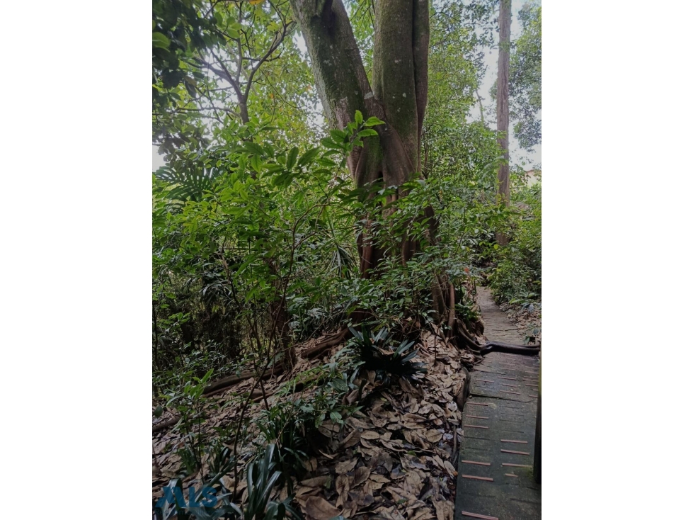 Casa Lote en San Lucas Poblado(MLS#261713) — foto 6