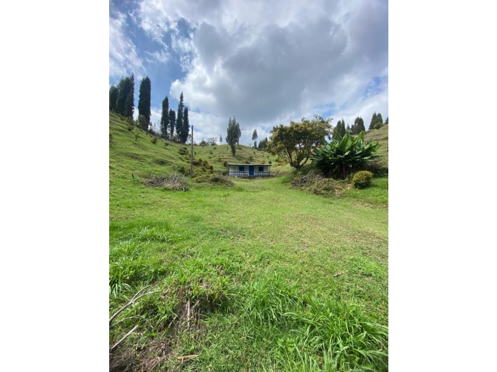 Casa lote en vereda Toldas Guarne — foto 2